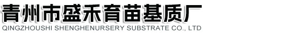 ʢʳLogo